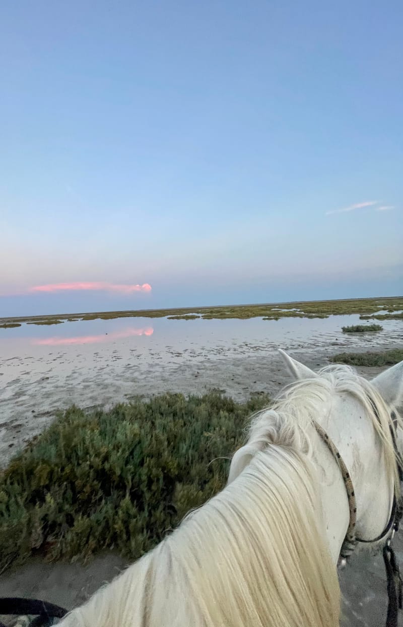 En petite Camargue
