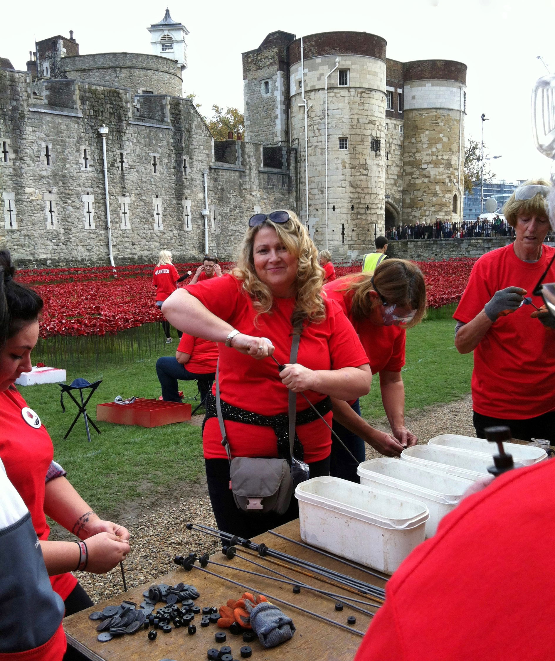 Planting poppies