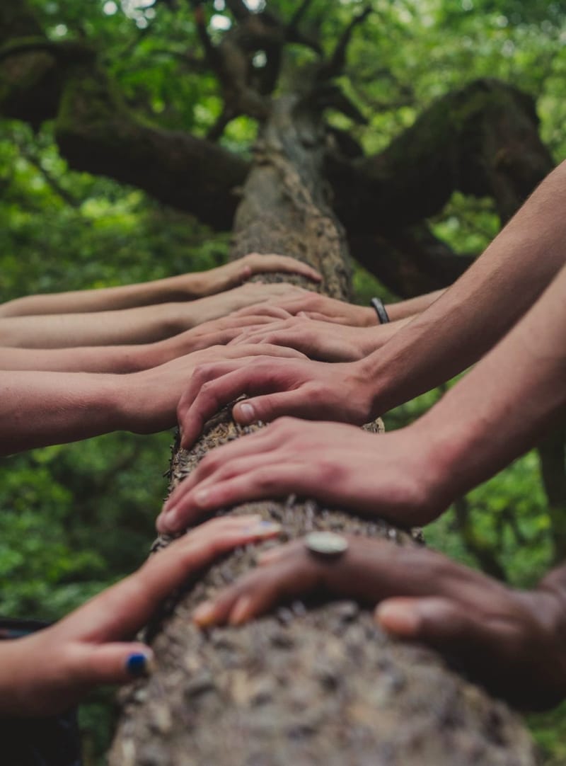 intercultural training