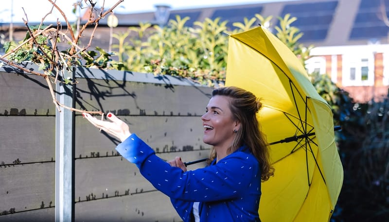 "back to the roots"- mentoring program