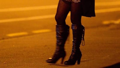 Looking for Partner Services