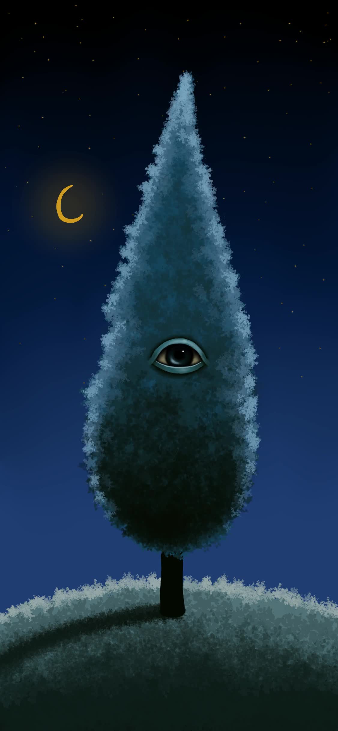 album/single covers & canvas