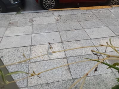 Reparación de veredas. Cambio de pavimentos resbaladizos especialmente cuando están mojados.