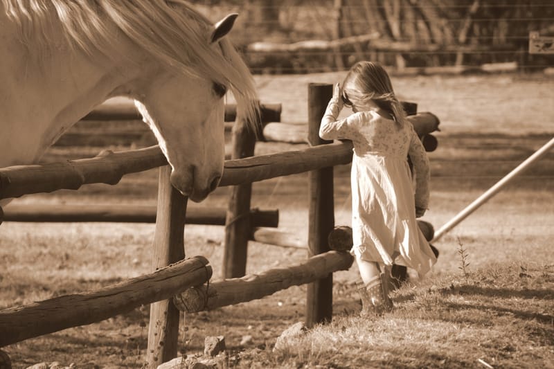 Pony Power voor kids