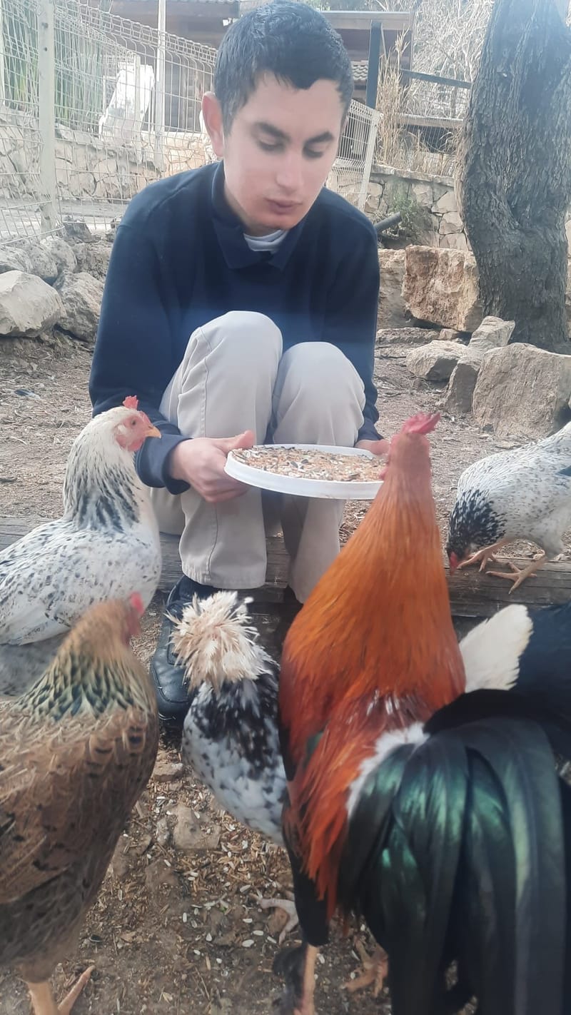 מרכז יום למרחבים