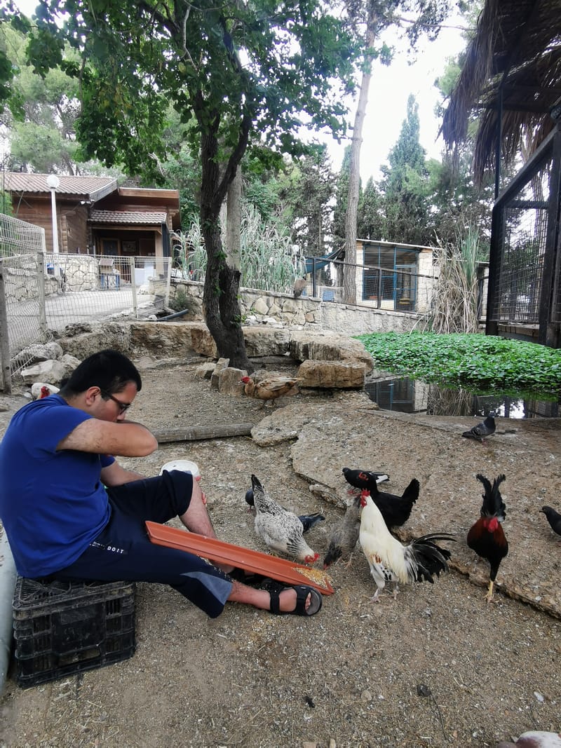 פעילות מודרכת