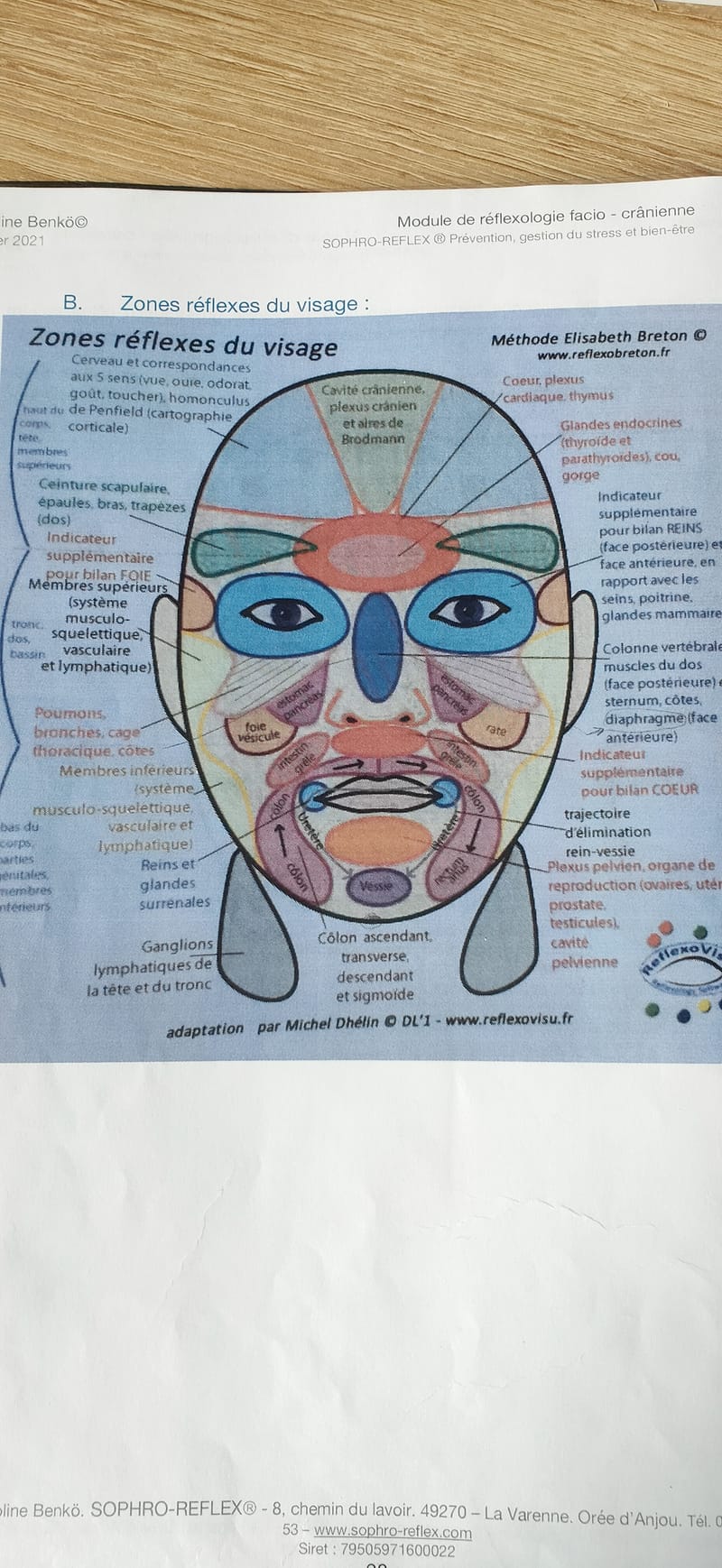 Réflexologie facio-crânienne