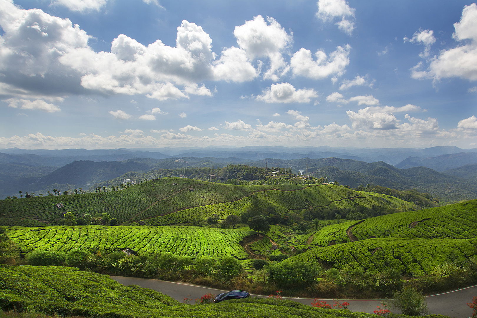 Architecture & Landscape