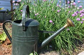 Other Services We Offer