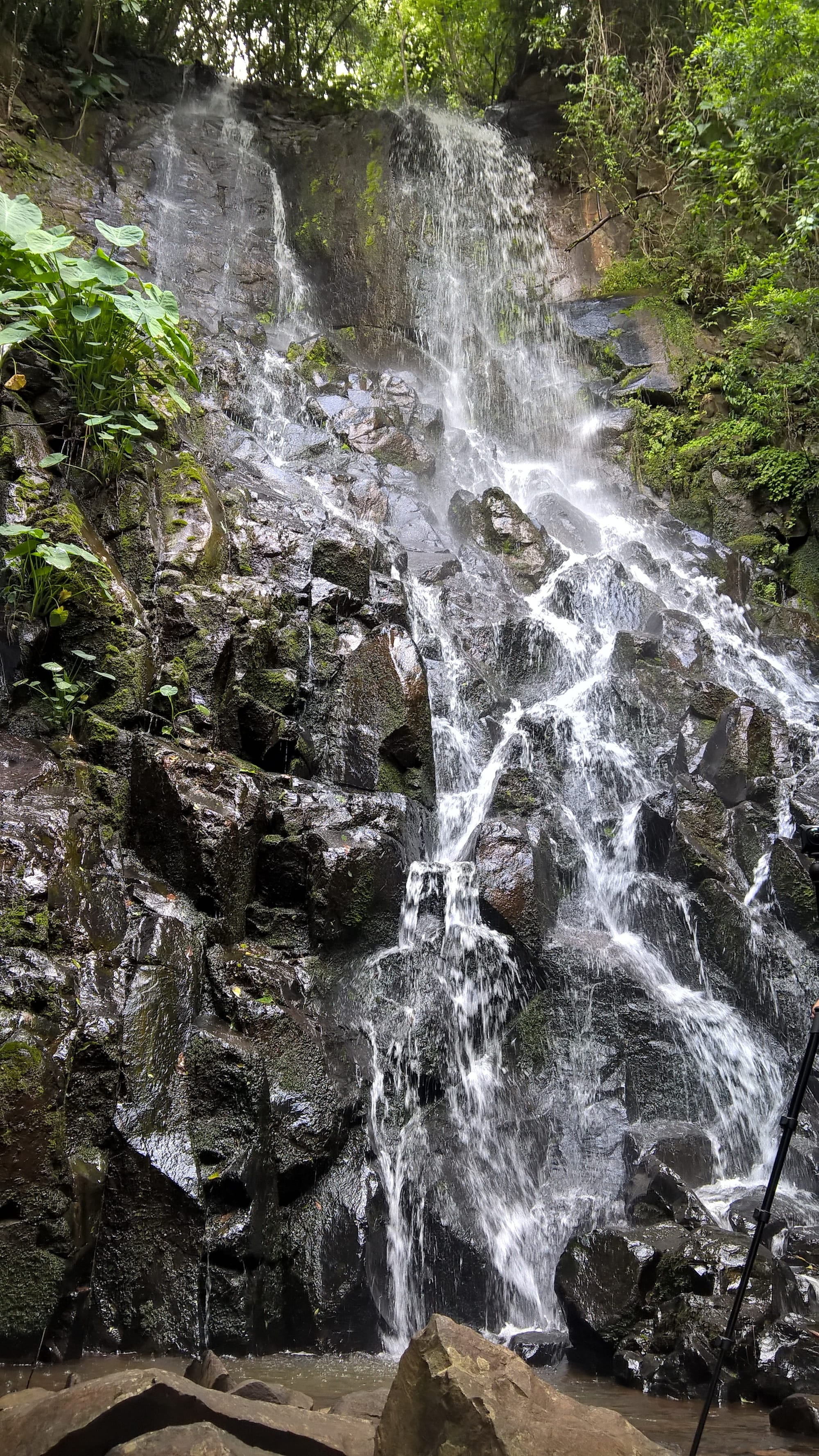 Cachoeira da Primavera - Martello