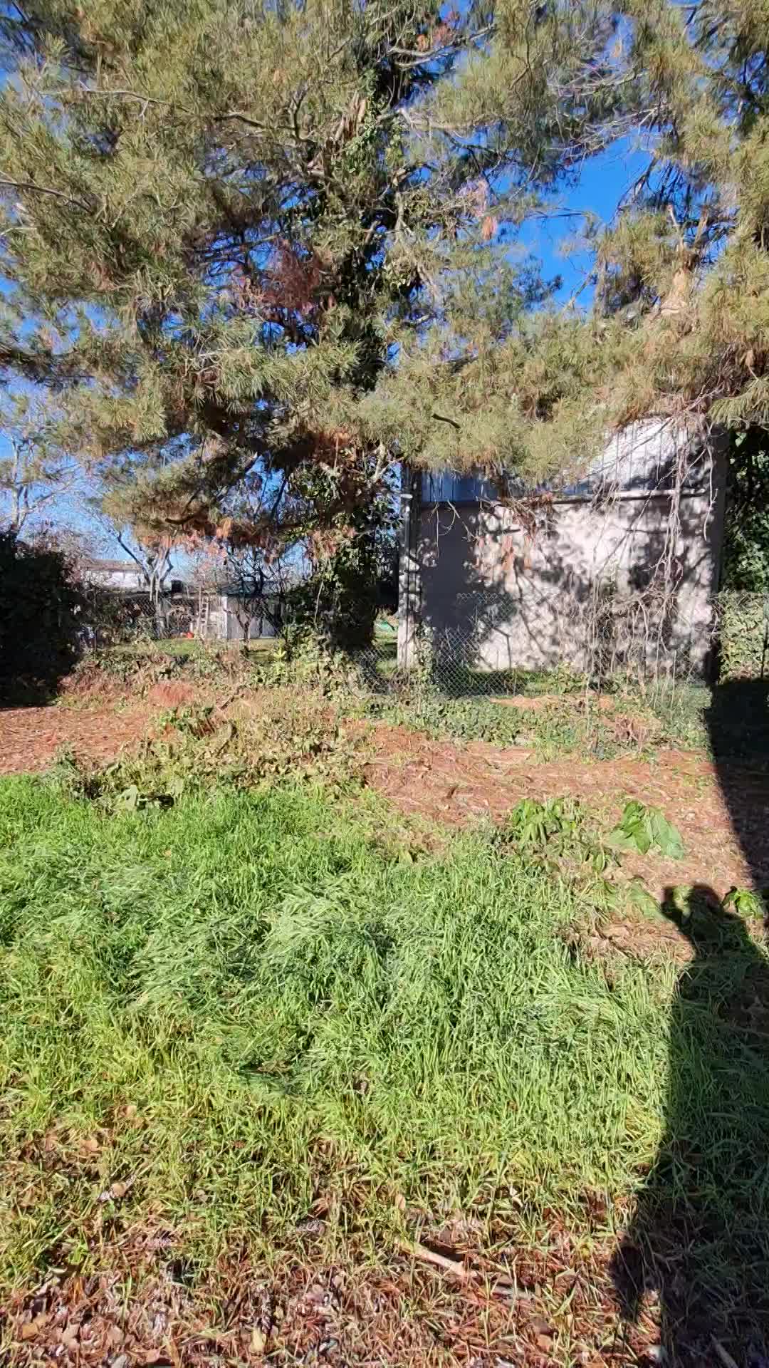 Ottima Visibilità dalla Strada Statale