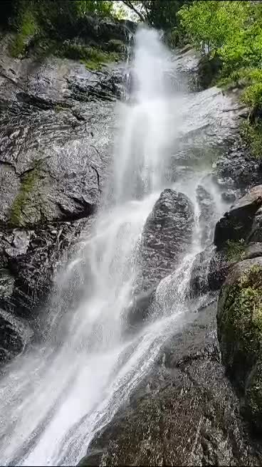 تبليسي -بوكيت -بورجومي -بوكرياني