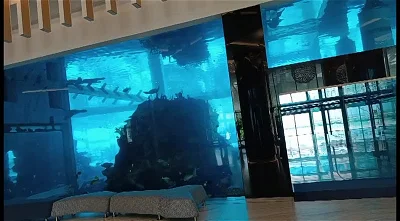 تبليسي -بوكيت -بورجومي -بوكرياني