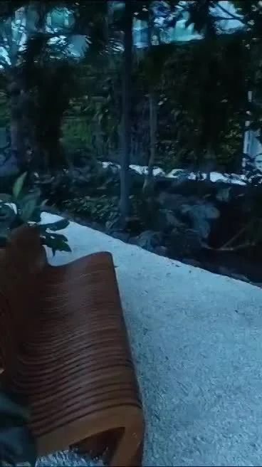 تبليسي -بوكيت -بورجومي -بوكرياني