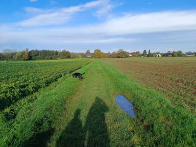 Hamois (Mohiville) image