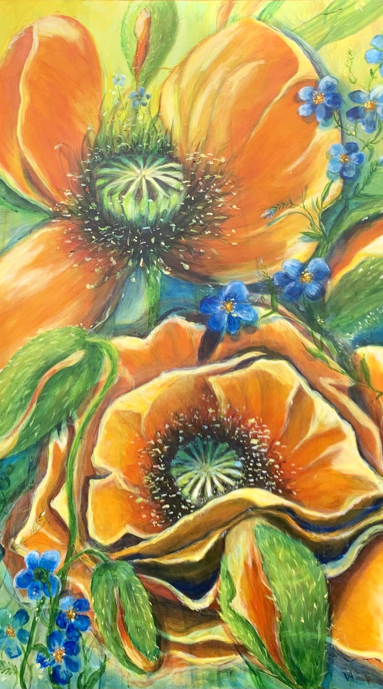 Orange valmue 100 x 60