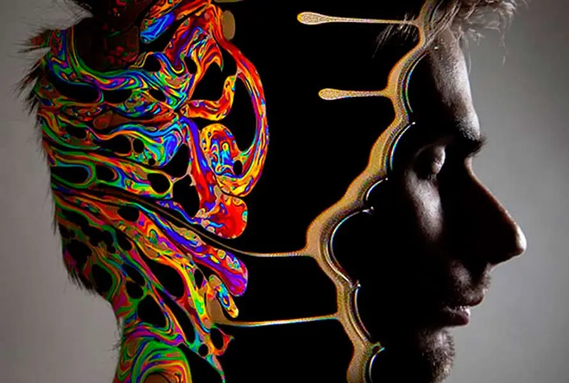 Psilocybe cubensis e a ciência: O que os cientistas descobriram sobre seus efeitos psicodélicos.