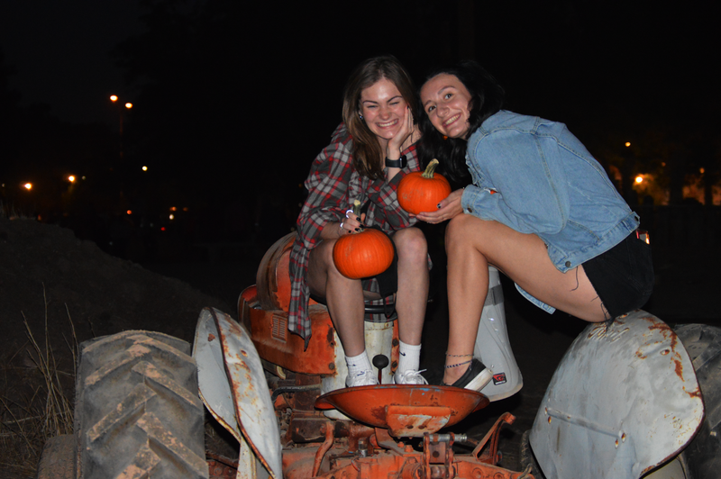 (click photo to enlarge and scroll) 