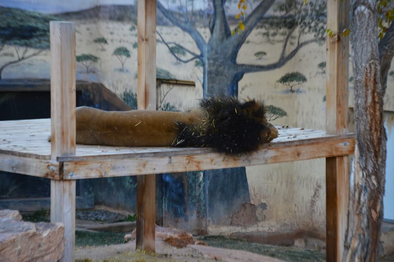 (click on photo to enlarge and scroll)