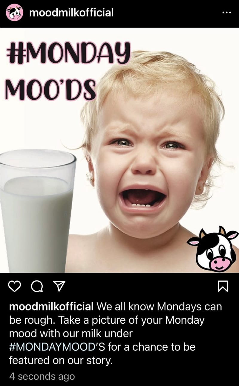 (click photo to enlarge and scroll)