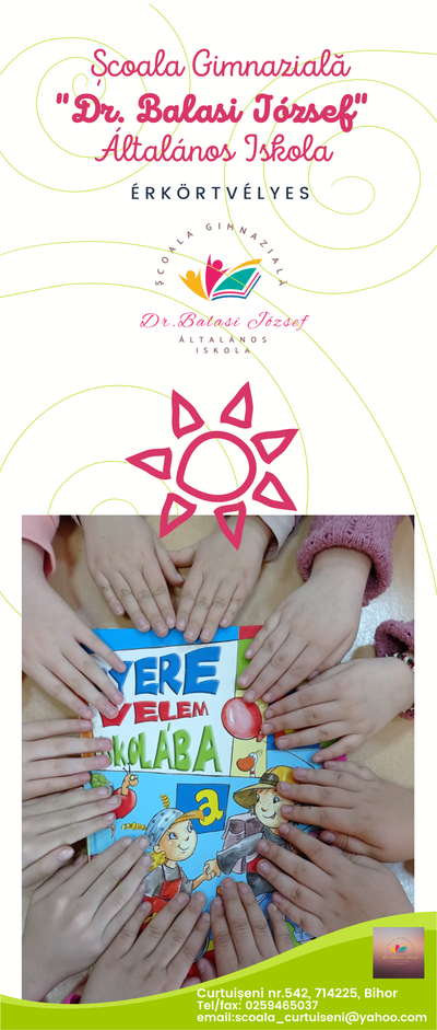 The banner of the Dr. Balasi József School was created with the help of the Körte Association