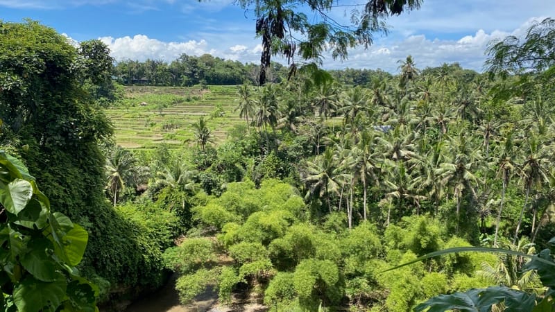 An eco-responsible construction