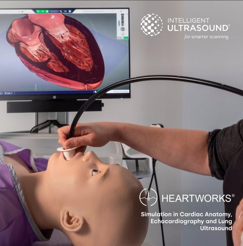 TEE Full Training (5 trainees)