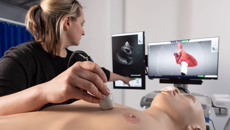 TTE Full Training (5 trainees)