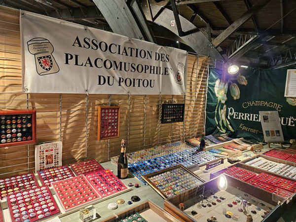 COLLECT.PASSION 2023