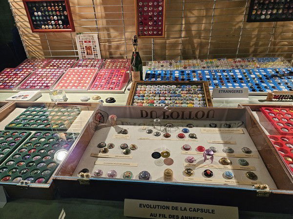 COLLECT.PASSION 2023