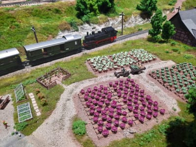 März - Heute startet die Webseite zum Jubiläumsjahr