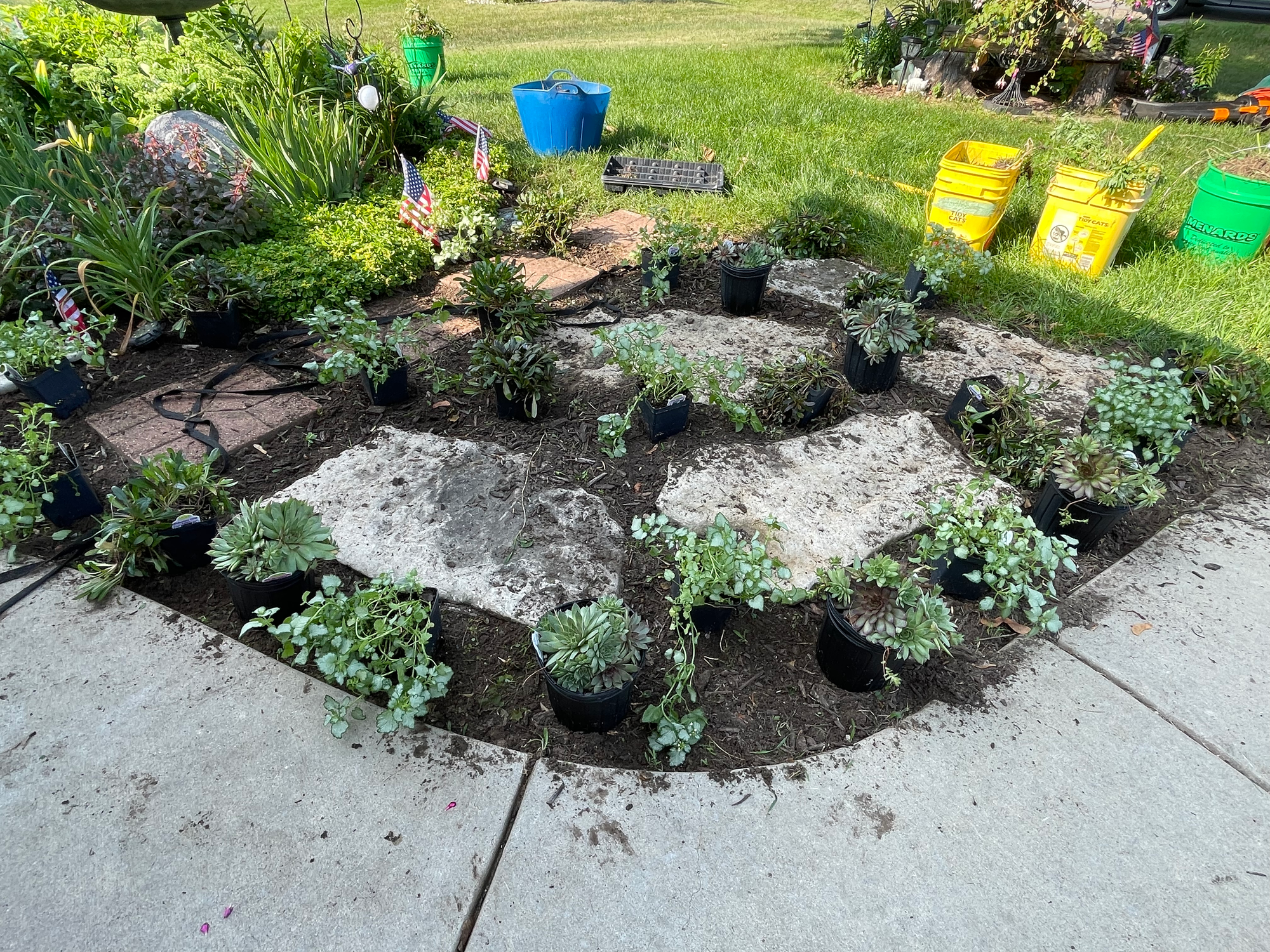 Garden Bed-During