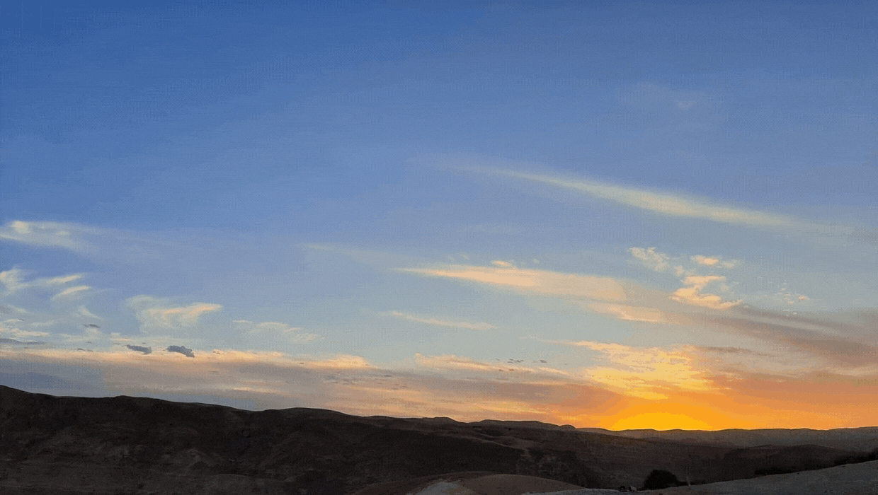 🦢 WIN-WIN 🦢 איזו חיה זו?