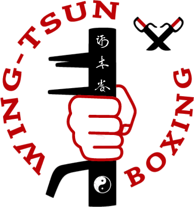 WING TSUN BOXING