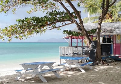 the sounds and music of the caribbean image