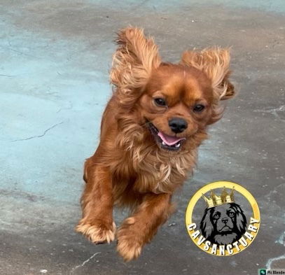 Interstate and Overseas Inquiries Welcome