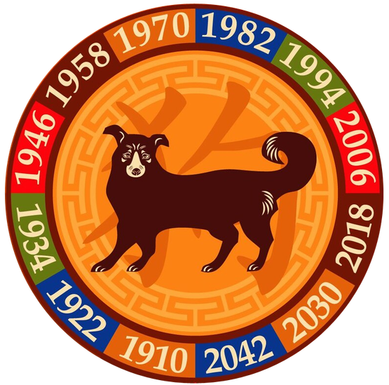 【狗】DOG