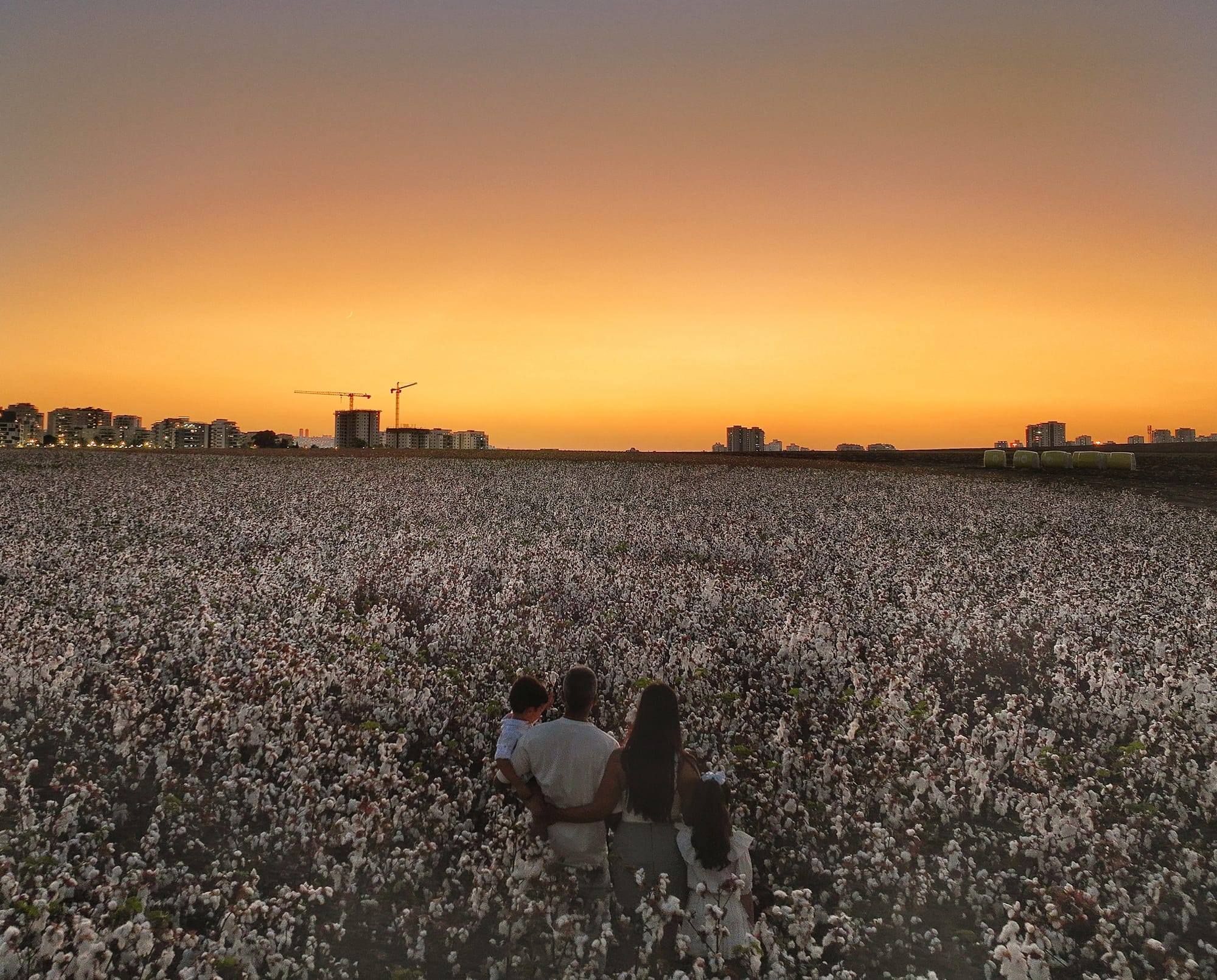 צילומי אנשים מזוית אחרת 