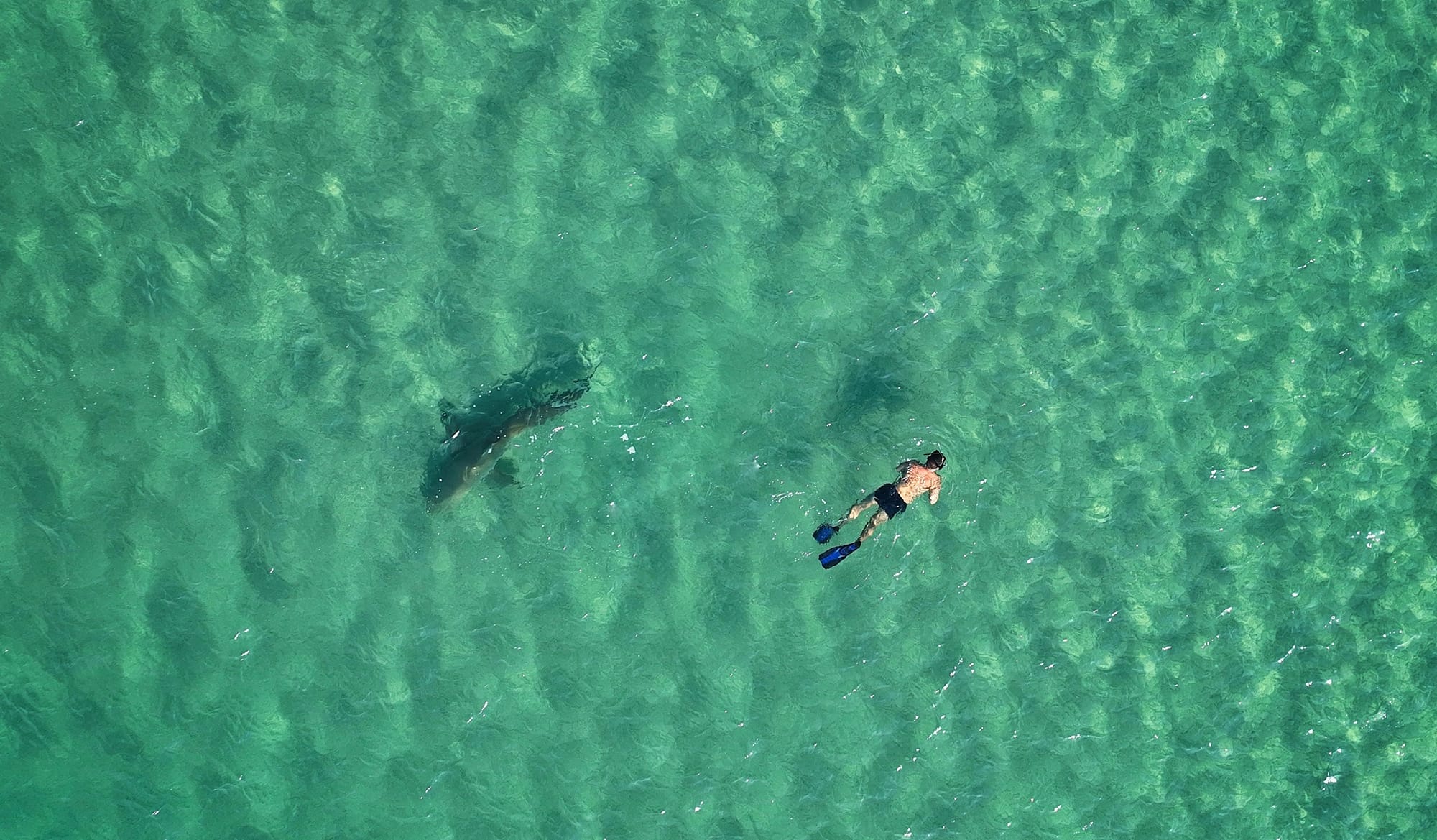 צילומי אנשים מזוית אחרת 