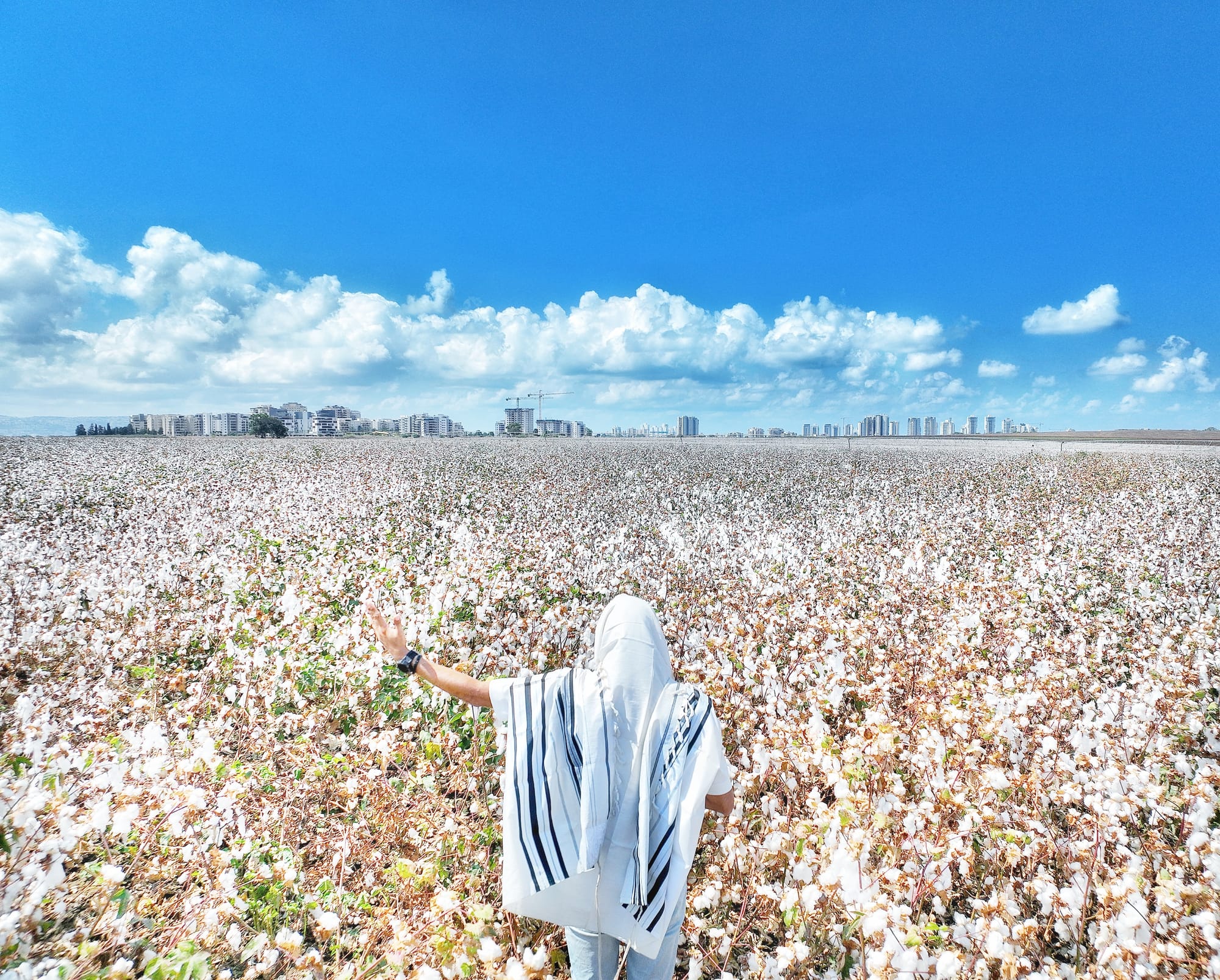 צילומי אנשים מזוית אחרת 