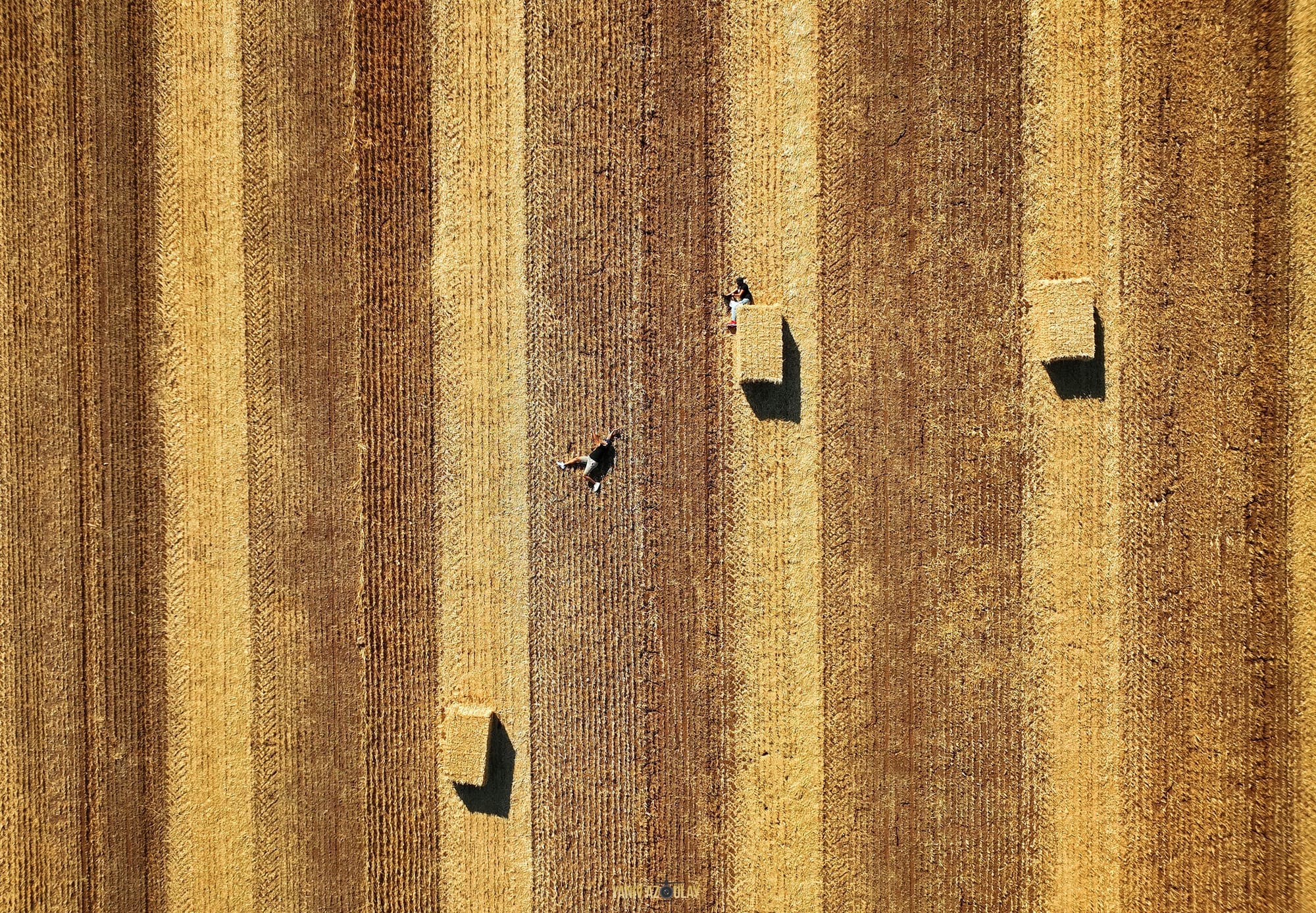 צילומי אנשים מזוית אחרת 