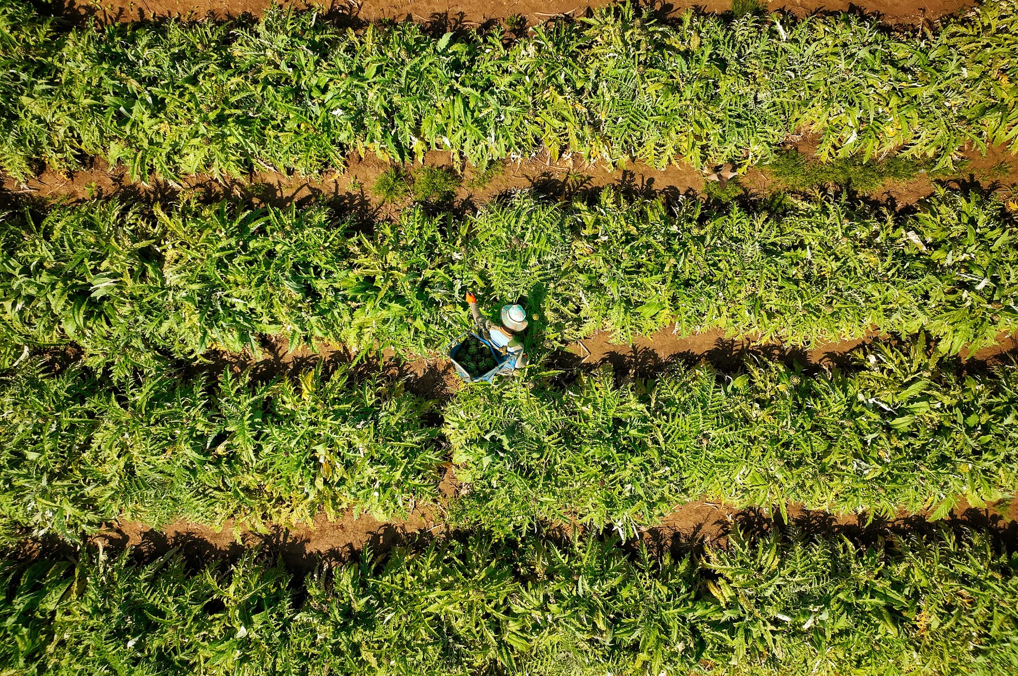 צילומי אנשים מזוית אחרת 