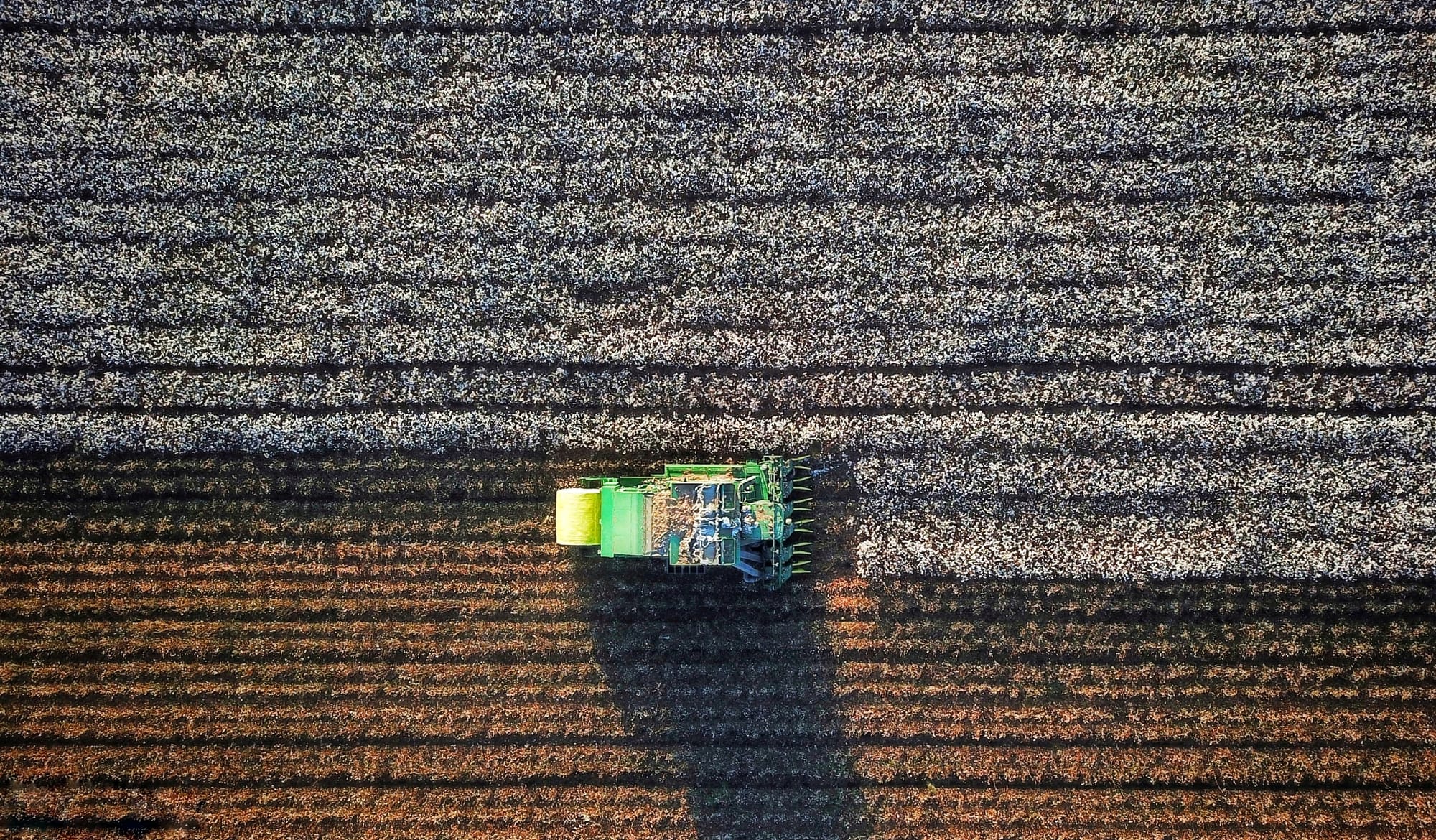 צילומי חקלאות 