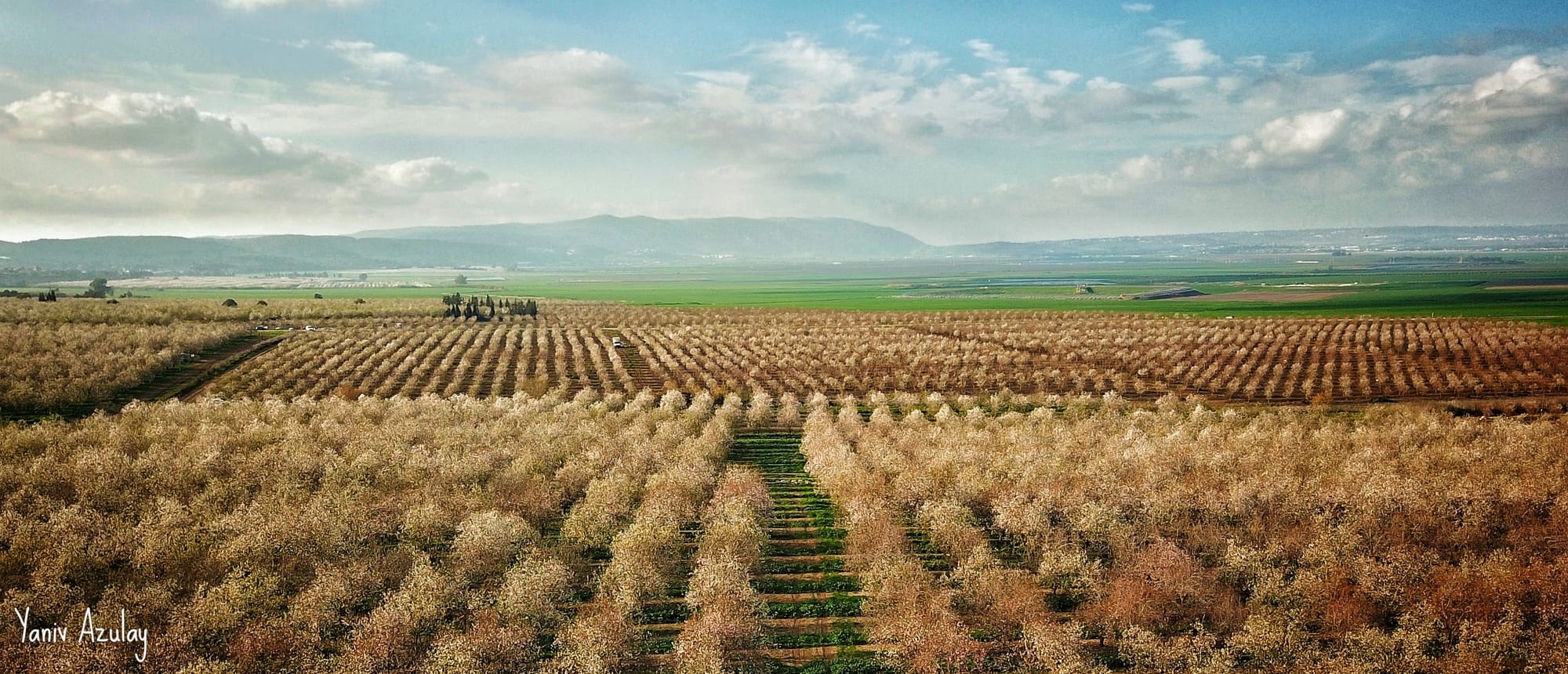 צילומי חקלאות 