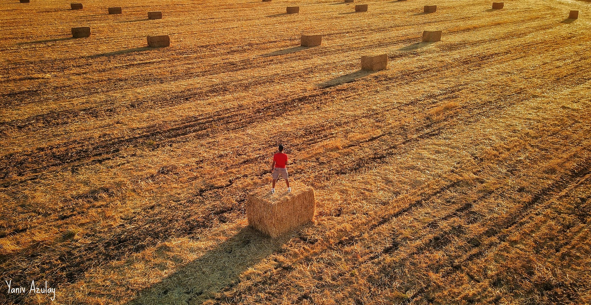 צילומי חקלאות 