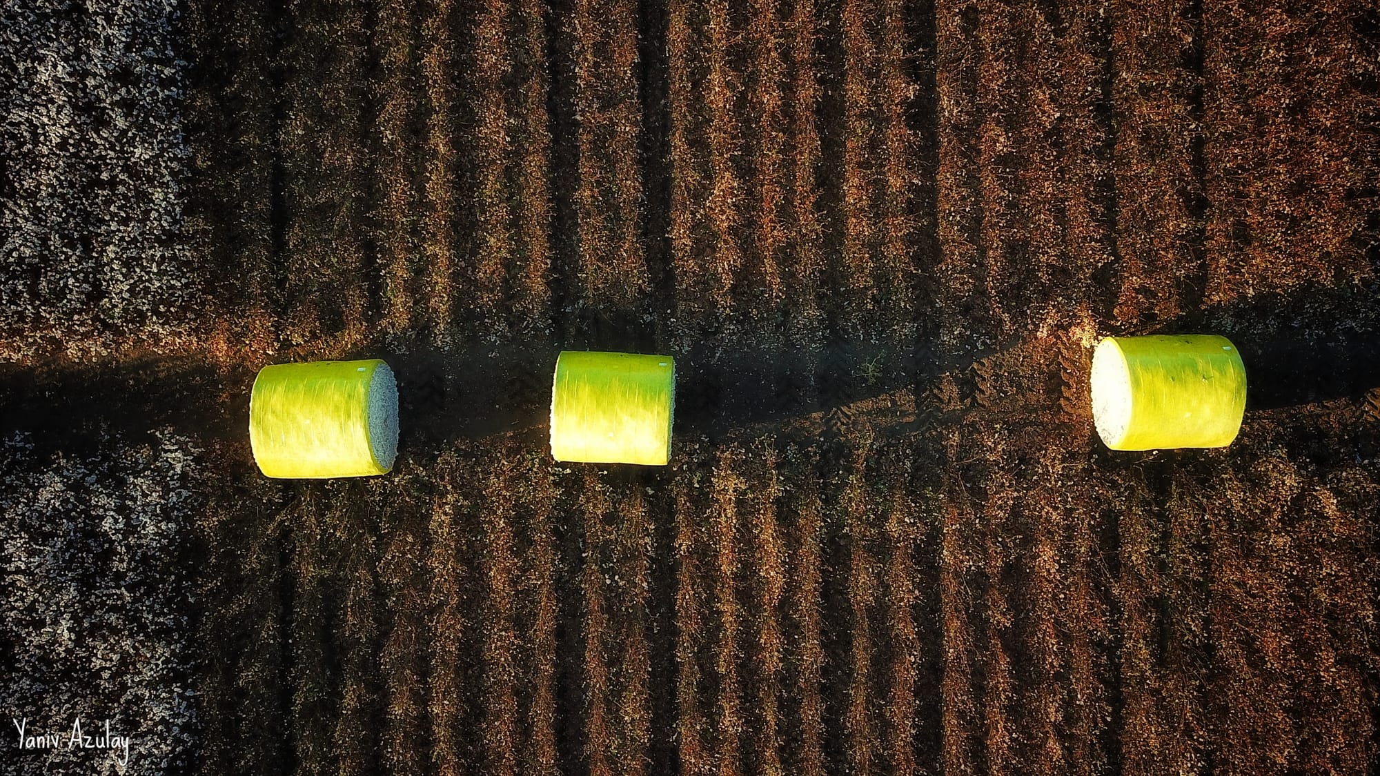 צילומי חקלאות 