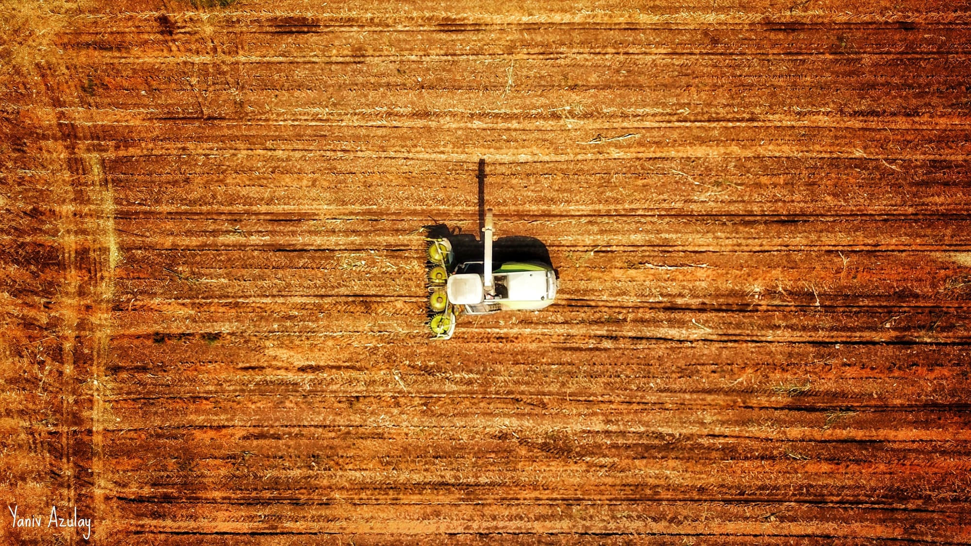 צילומי חקלאות 