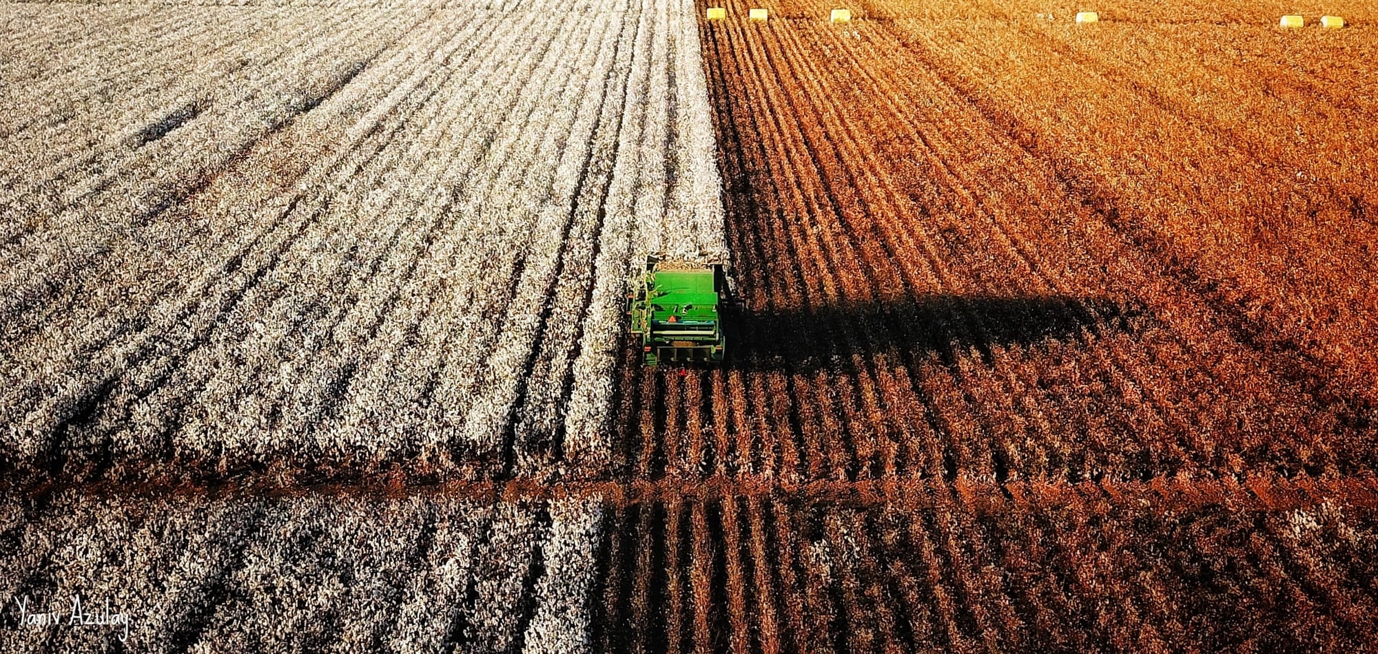 צילומי חקלאות 
