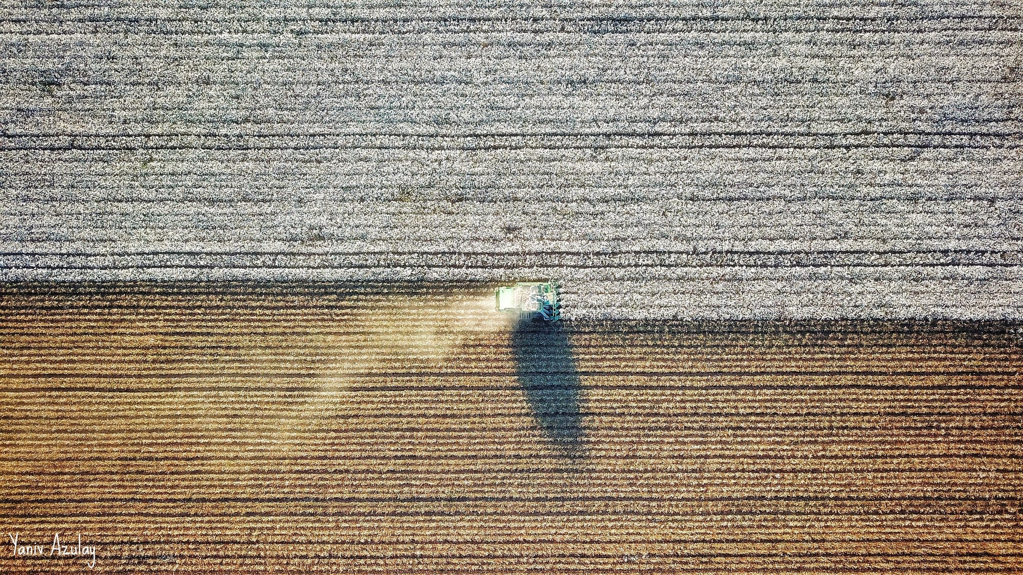 צילומי חקלאות 