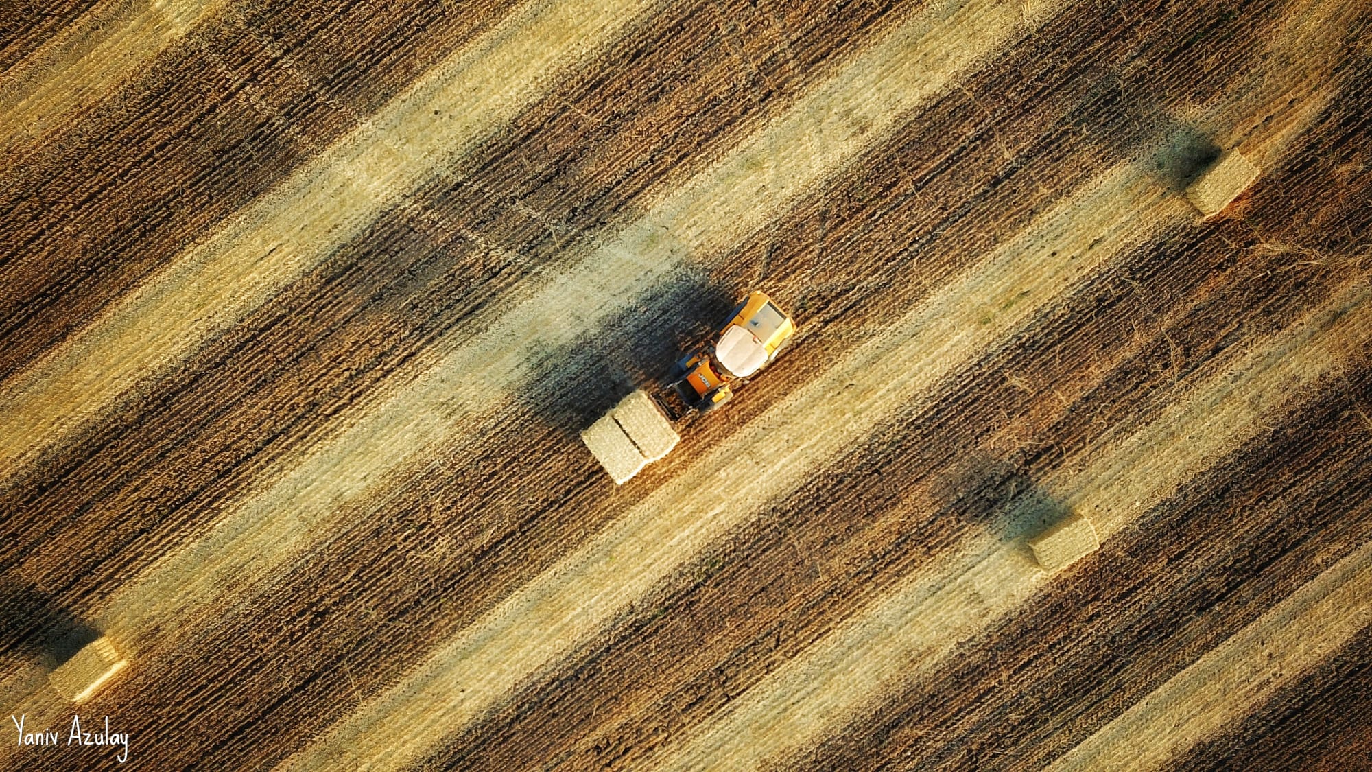 צילומי חקלאות 